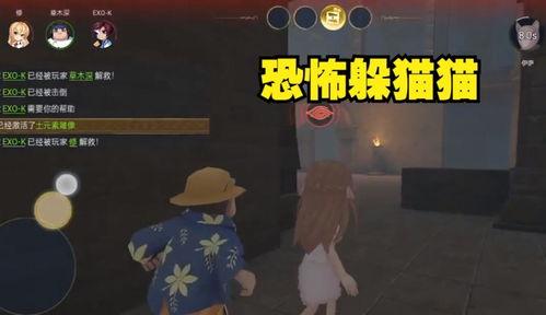 恐怖躲猫猫3 最新爆料,惊悚揭秘，神秘真相浮出水面