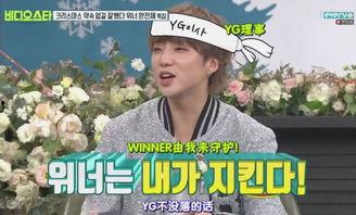 社长最新爆料消息,最新爆料背后的惊人真相